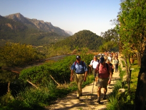 Den Fr&uuml;hling auf Mallorca erleben