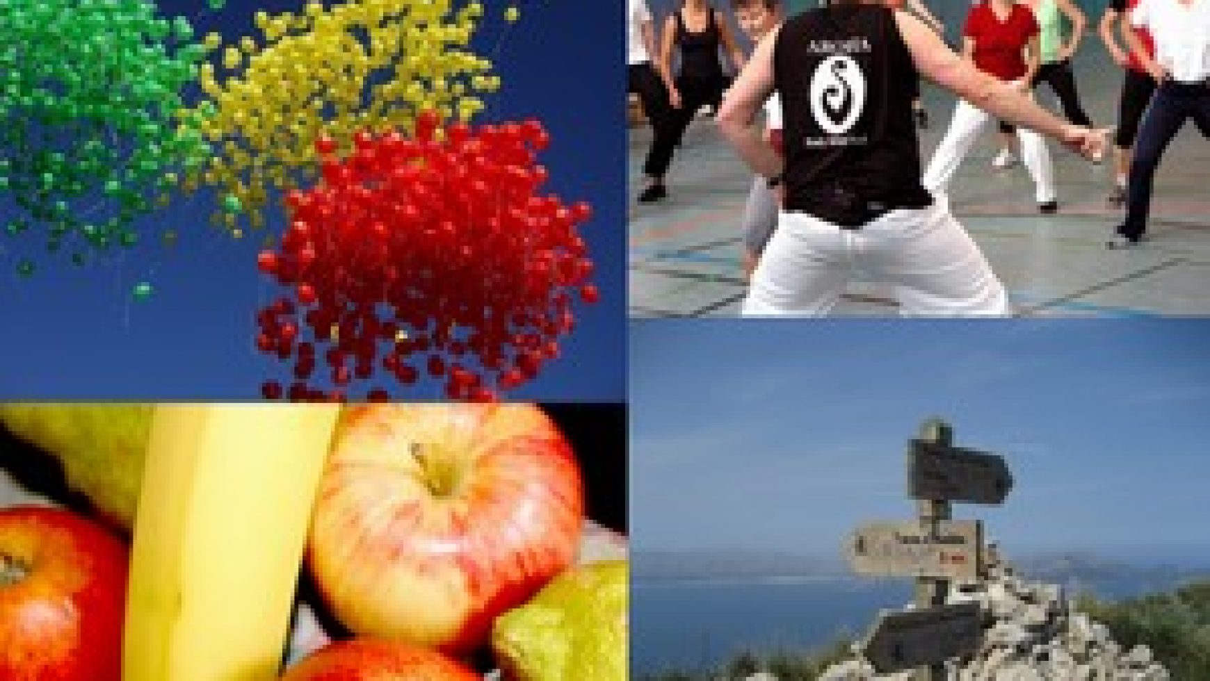 Aktiv durch das Jahr 2010 erschienen