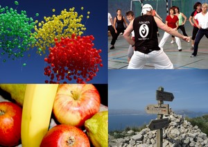 Aktiv durch das Jahr 2010 erschienen