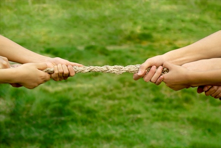 Highlights im 4. Quartal 2015