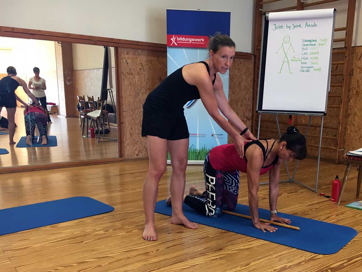 Grenzen und Möglichkeiten von Functional Screening