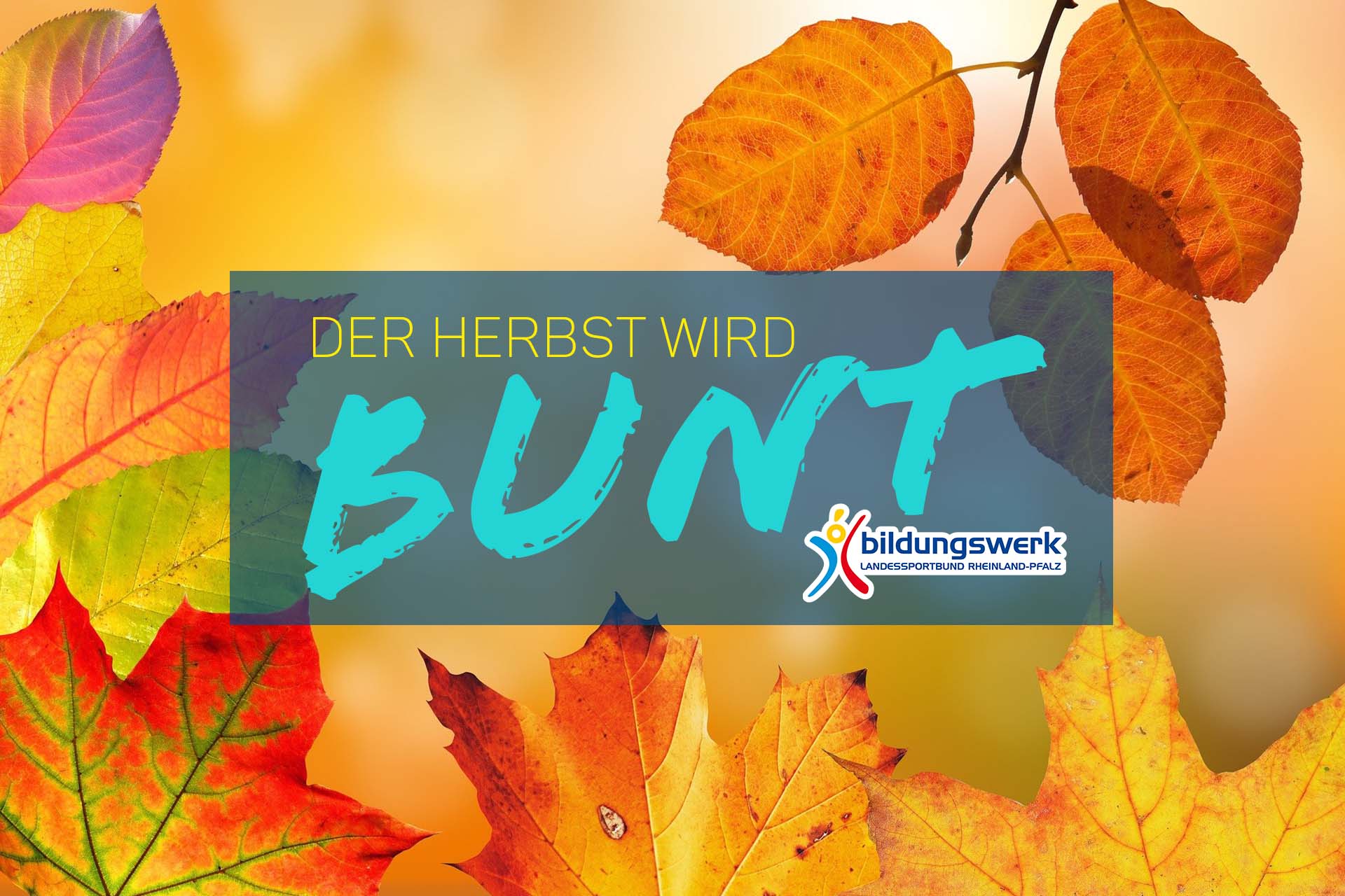 DER HERBST WIRD BUNT