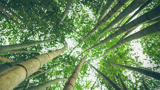 Resilienz-Zirkeltraining Resilienz-Zirkeltraining