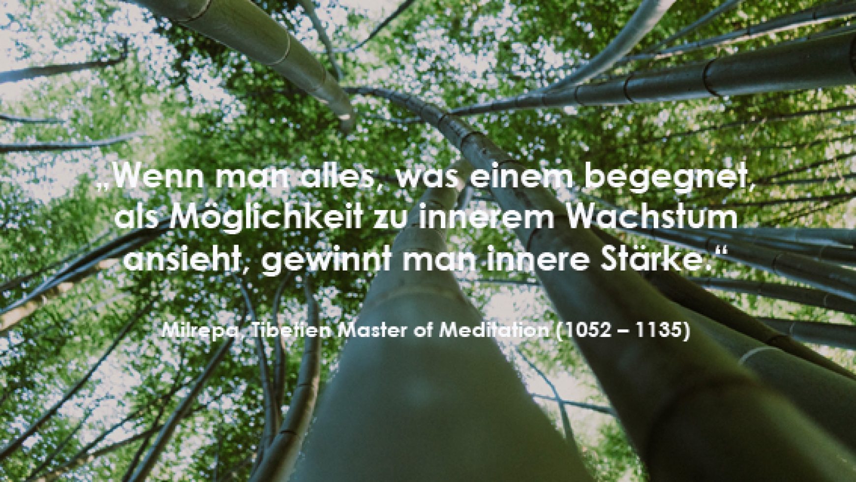 Resilienz entwickeln – Wege zu mehr Widerstandsfähigkeit