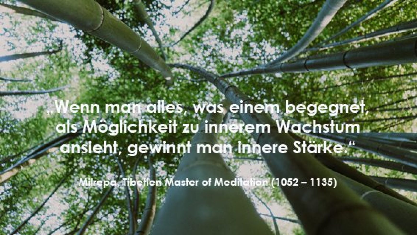 Resilienz entwickeln – Wege zu mehr Widerstandsfähigkeit